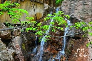 邯郸花溪谷最新爆料事件