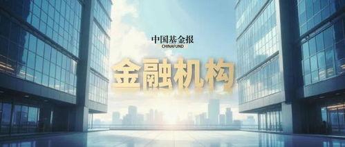 信达总裁爆料视频大全最新,揭秘视频大全背后的惊人真相